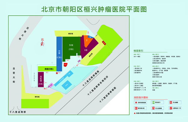 逼特逼一区二区北京市朝阳区桓兴肿瘤医院平面图